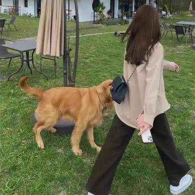 爱情不流泪